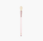 Highlighter Brush