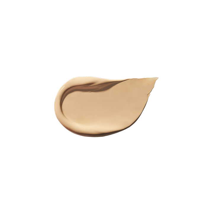 Covericious Power Fit Concealer 5.5g