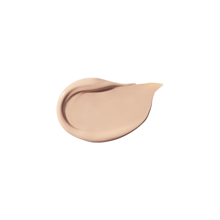 Covericious Power Fit Concealer 5.5g