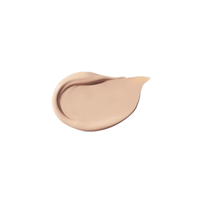 Covericious Power Fit Concealer 5.5g